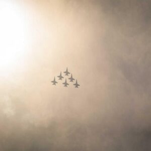 Smart Alicate Universal