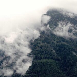 Premium Colar Folheado