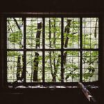 Premium Colar Folheado