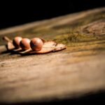 Original Notebook Gamer