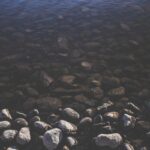 Turbo Arranhador Gato