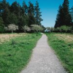 Elite Tablet Android