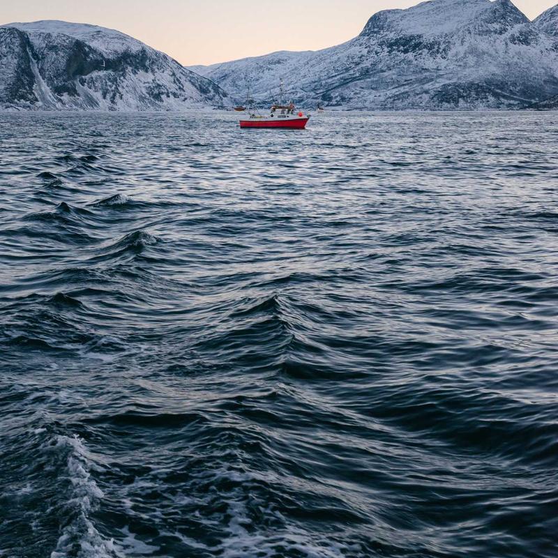 Modern Notebook Gamer