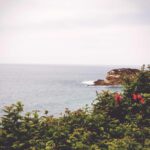 Slim Alicate Universal