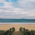 Modern Fone Bluetooth