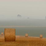 Ultra Mouse Wireless