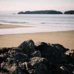 Básico Trena Digital