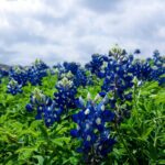 Básico Trena Digital